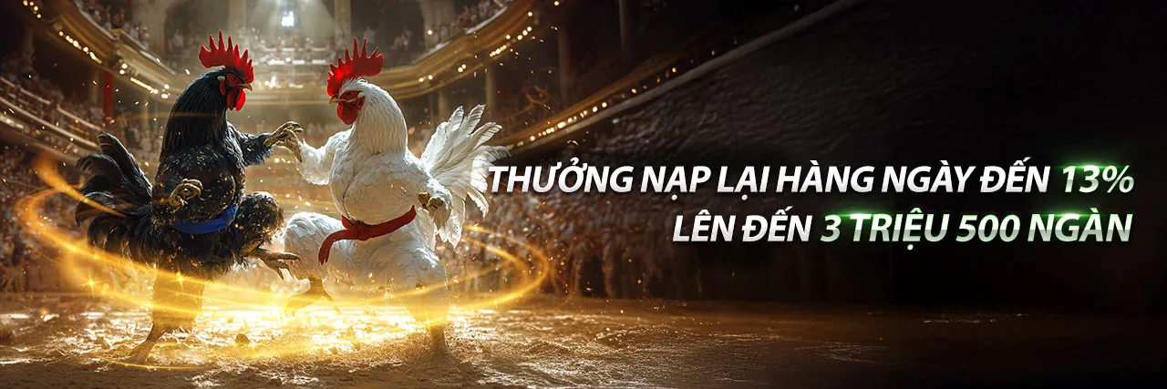 Đá Gà Thomo Tính Gà King tại OKE179 Win